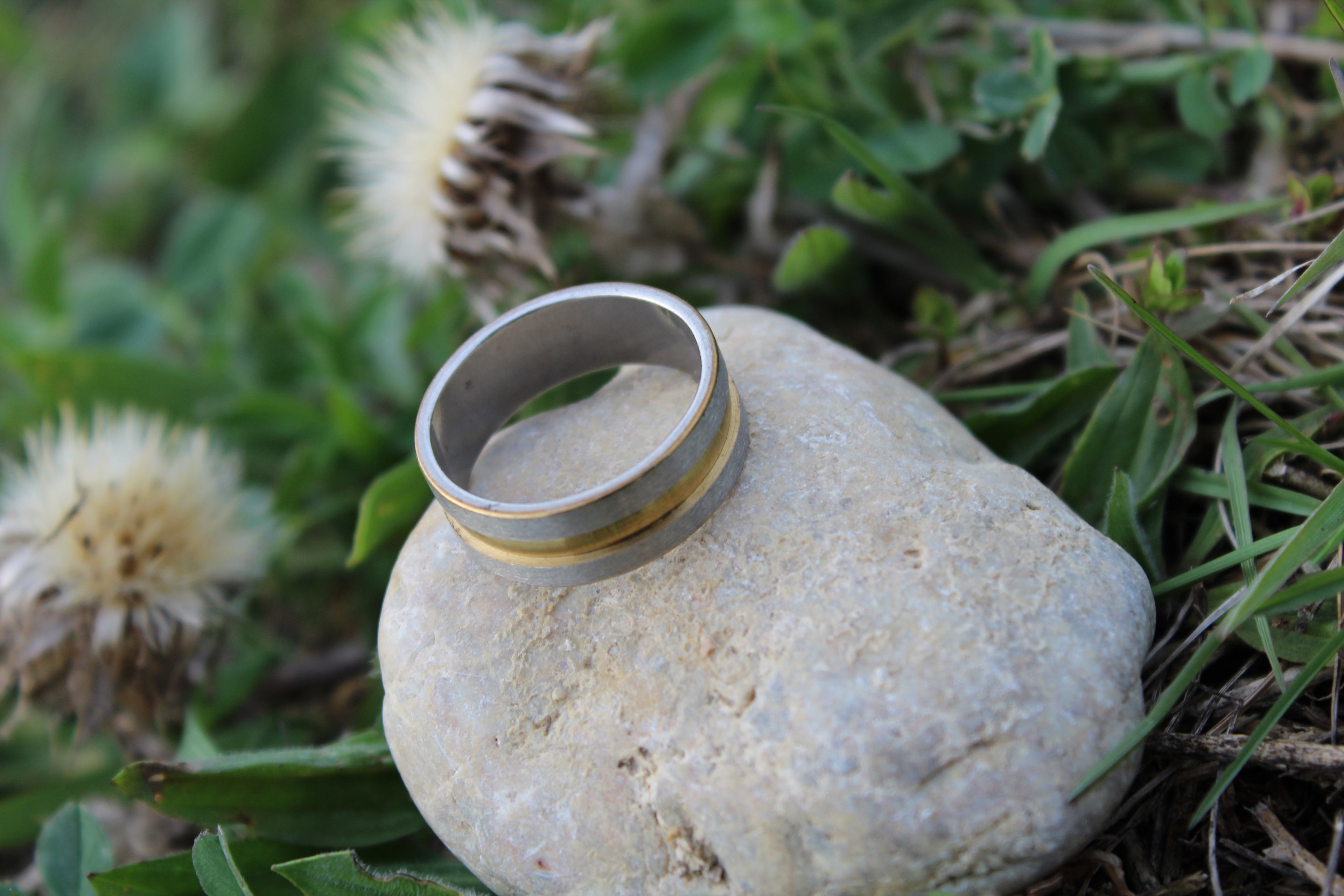 Ringor