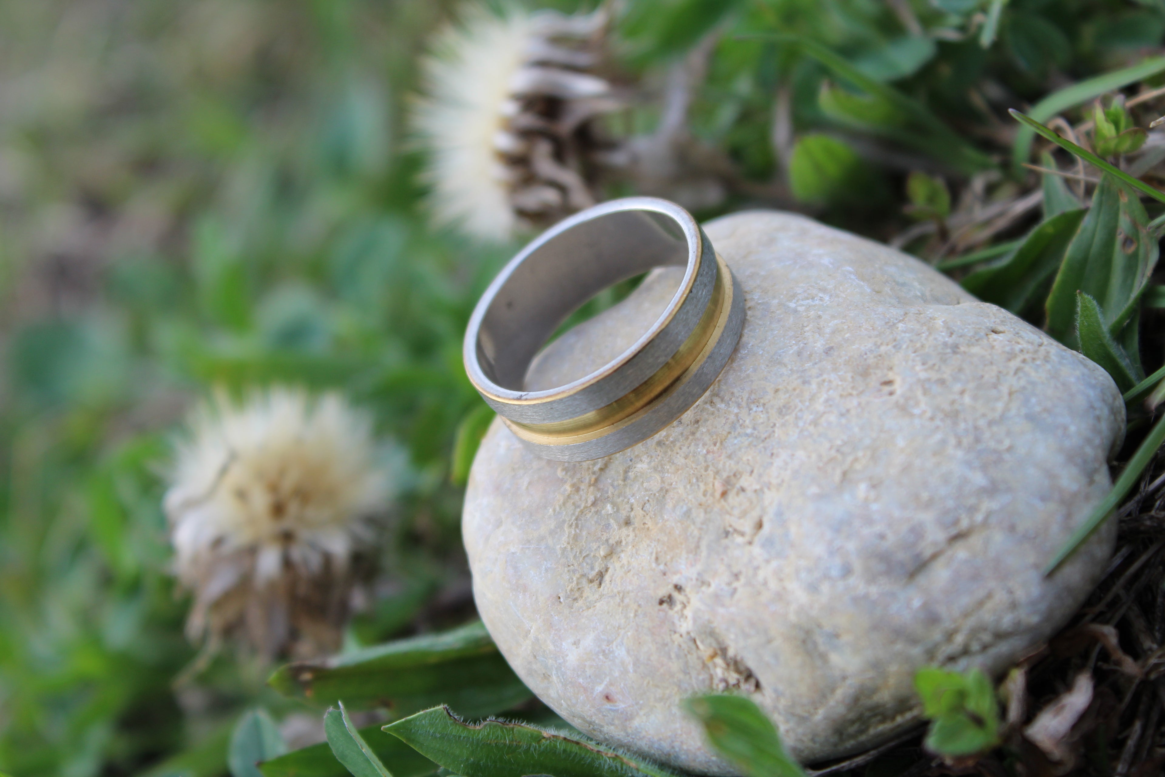 Ringor