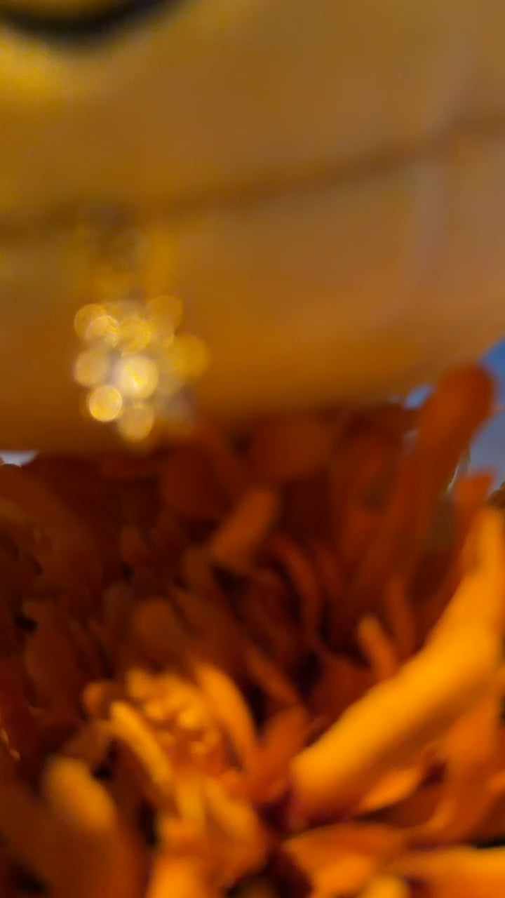 Bienen Strauss-tinkibell